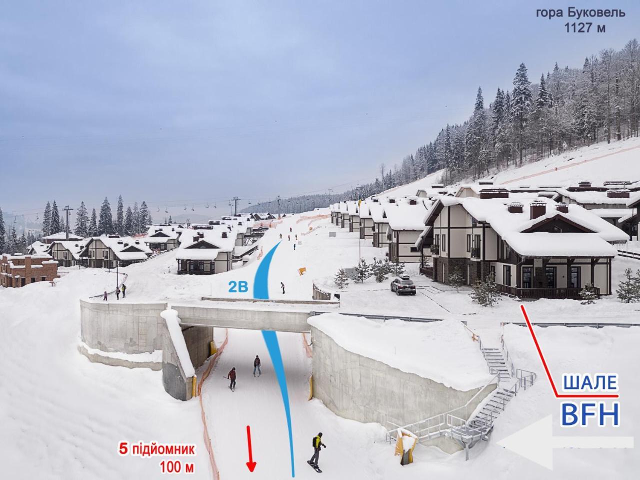 Chalet Bfamilyhouse Буковель Экстерьер фото